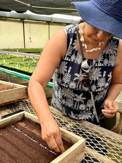 A visitor at our farm gets hands-on experience sowing seeds. We believe in sharing our horticultural knowledge and the joy of watching something grow from the very beginning.