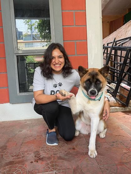 TailSpin - Puppy Training Program Happy Pups, Happy Families photo 26