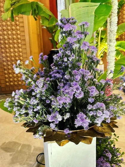 Another look at the beautiful floral arrangements that bring life and color to the engagement ceremony.
