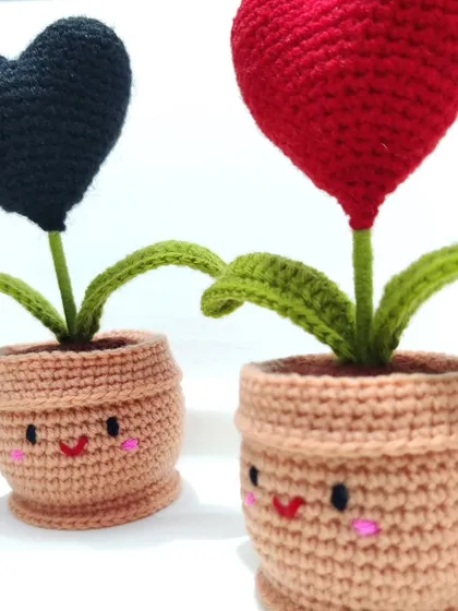 A close-up of the red and black heart pots together, showing their cute, smiling faces side-by-side.