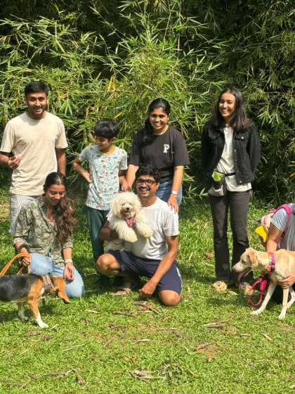 A successful group session in Cubbon Park. My approach to socialization focuses on teaching dogs how to be calm and neutral around others, not just uncontrolled play. This builds real-world confidence for both dogs and their parents.
