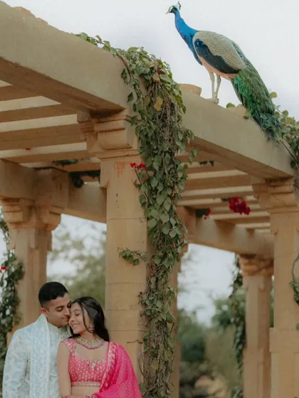 A close-up of the peacock moment. The composition, with the peacock perfectly perched above the couple, feels like a scene orchestrated by nature itself.