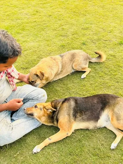 Winter sun and human cuddles are the perfect combination. Our team is always ready to provide warmth and comfort.