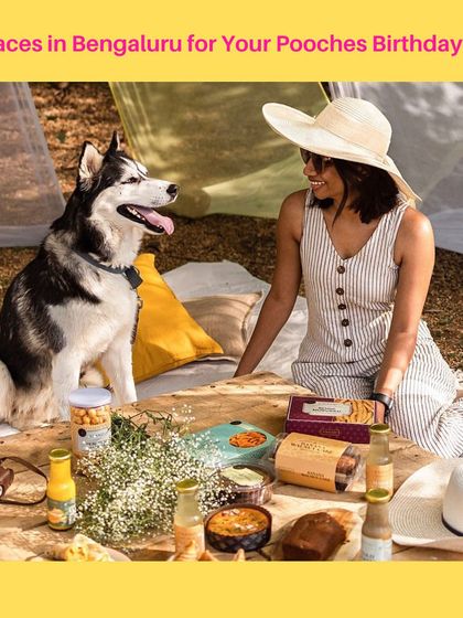 To help you celebrate, I've compiled a list of 5 great dog-friendly places in Bengaluru for a birthday bash, featuring a beautiful picnic setup with my treats.