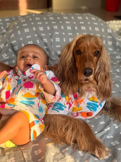 Cuddles and colors. Posto and Pablo lying together in their matching Holi outfits.