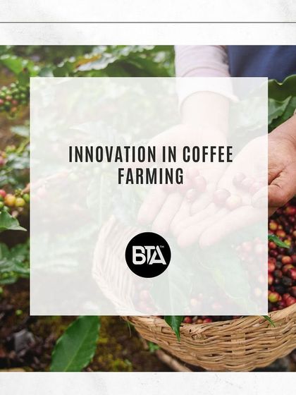 An image representing the trend of innovation in coffee farming, with a focus on sustainable and modern practices.