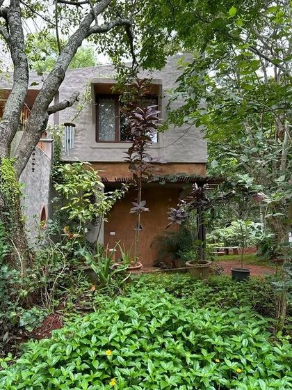 The house is intentionally nestled within a dense garden. This approach to landscape design ensures that the structure feels private and protected, a hidden sanctuary discovered amongst the trees.