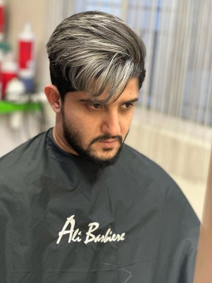 Ali Barbiere - Dimensional Color & Blonding Ash, Silver & Platinum Tones photo 39