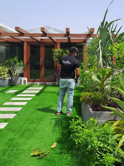 We also offer professional gardener services. Here, one of our team members is inspecting a large terrace garden to ensure all plants are healthy and thriving.