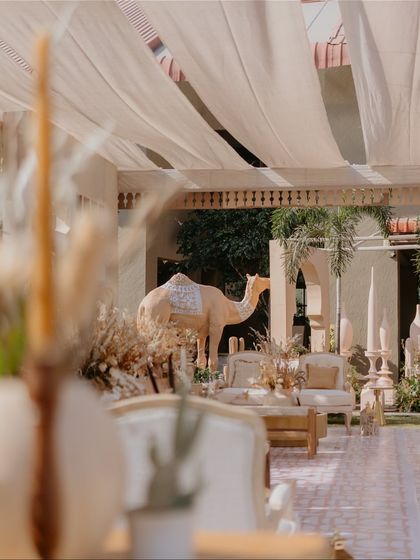 The 'Desert Oasis' Haldi: A Modern Masterpiece photo 12