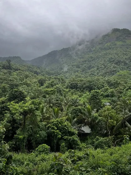 A new site, and the beginning of a new design conversation with the landscape. This view of a dense, misty forest in Maharashtra is the starting point for a home that will be born from this very environment.
