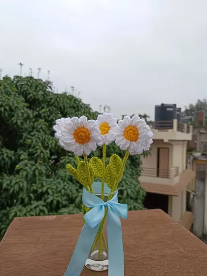 A simple bouquet of three white daisies in a vase.