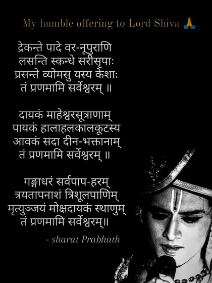 These are the verses of my personal composition, the 'Sarveshwara Stotram', an offering to Lord Shiva. Writing poetry and lyrics in Sanskrit is a crucial part of my process, ensuring my work is grounded in tradition.