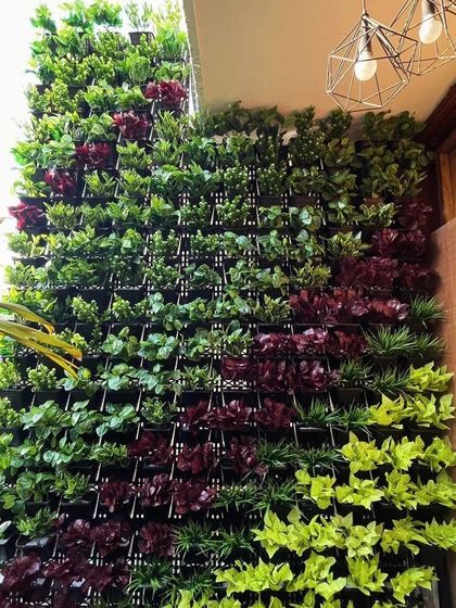 This shows the modular nature of our vertical garden panels. We can create patterns and mix different types of foliage, like these red and lime green plants, to build a custom wall that matches your decor and color scheme.