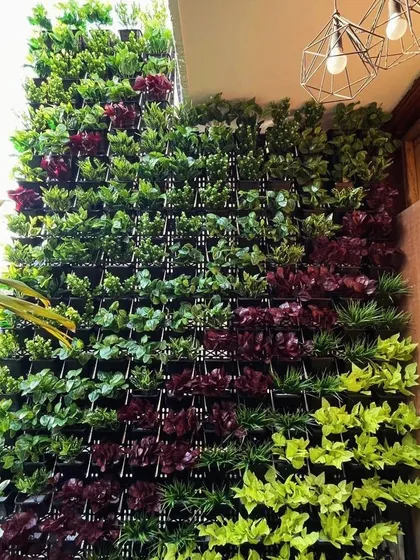 A dense and colorful living wall on a balcony. We used a pattern of bright green, dark green, and deep red plants to create a visually striking and lively feature.