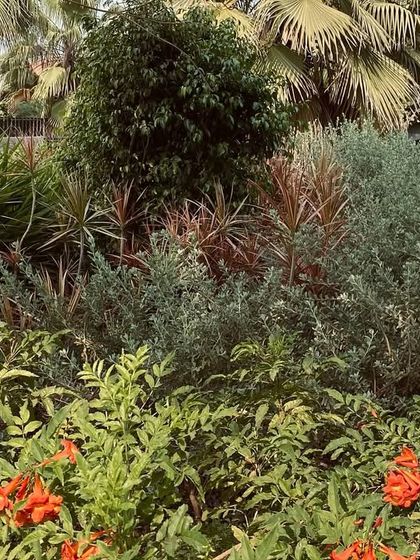 Additional Work photo 61