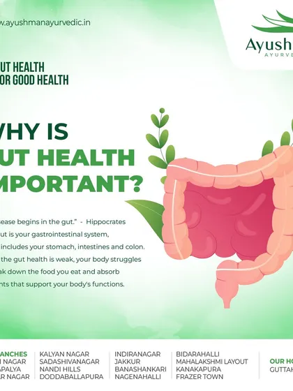 "All disease begins in the gut." This graphic explains the fundamental importance of your gastrointestinal system. It clarifies how a weak gut struggles to absorb nutrients, impacting your body's overall functions.