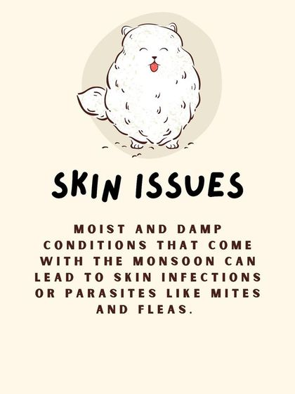 Furever Safe - Mobile Pet Grooming Expert Tips for Pet Parents photo 26