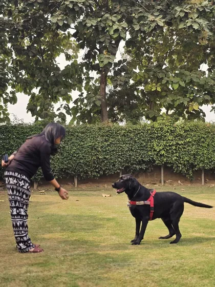 The moment of connection before the game begins. Dilawar is focused and ready, showing a great bond with his play partner.