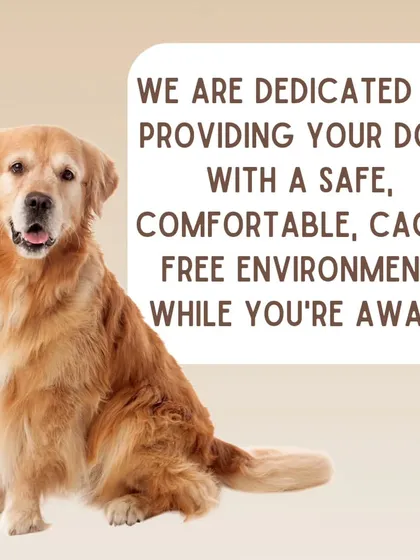 This is our simple promise. A safe, comfortable, and completely cage-free environment where your dog is treated with understanding and respect. We focus on what dogs truly need: structure, exercise, and a healthy social life.