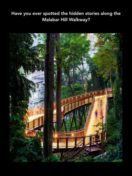 The Malabar Hill Forest Trail at night, an urban intervention designed to reconnect the city with its hidden wilderness. This elevated walkway offers a unique encounter with nature, creating a serene public space with minimal environmental impact.