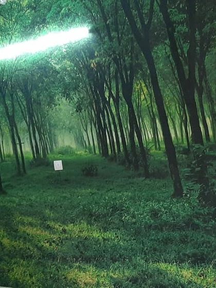 Wallthemes - Wallpaper Supply & Installation Custom Wall Murals photo 8