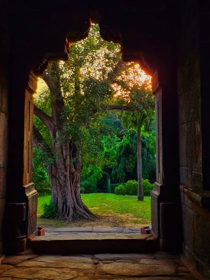 A creative shot framing the lush greenery of the park through an arched window. This composition creates a beautiful contrast between the dark interior and the bright, sunlit exterior.