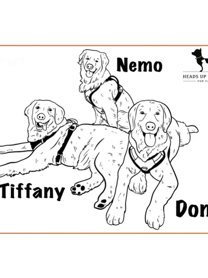 A group portrait of three beautiful dogs, Nemo, Tiffany, and Don. I can create illustrations featuring multiple pets together in one happy scene.