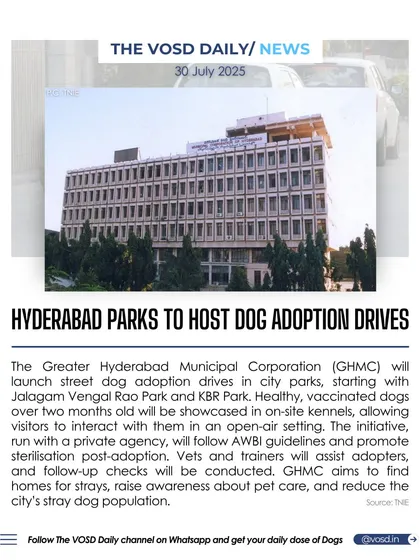Hyderabad's municipal corporation is launching dog adoption drives in city parks. This initiative will showcase healthy, vaccinated dogs over two months old in an open-air setting to connect them with potential adopters.