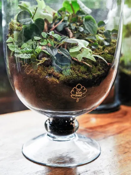 A detail shot of the base of the apothecary jar, with my logo subtly placed. It's a beautiful piece of plant decor for any home.