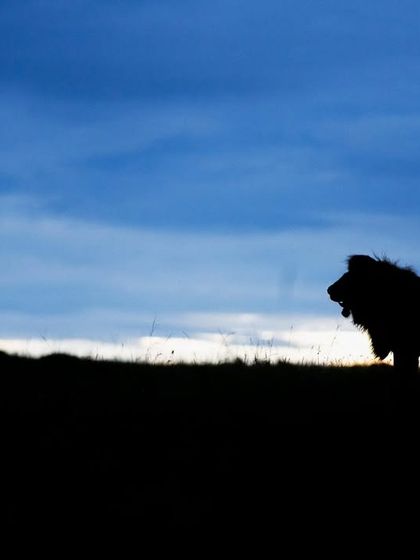 The Art of Seeing: Creative Compositions photo 16