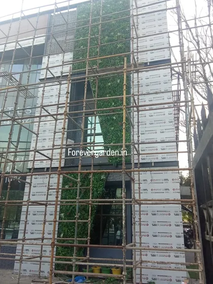 A view of a vertical garden installation in progress on a multi-story building, surrounded by scaffolding.