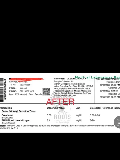 This "after" report shows the same patient's kidney function returning to the normal range, demonstrating how a holistic Ayurvedic approach benefits the entire body.