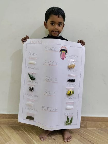 Purple Asters - Preschool & Daycare Learning Through Play photo 24