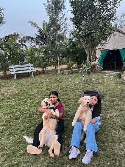 Poochkoo Mutts & Nutts - Dog Boarding & Daycare A Day at the Ranch: Daycare & Play photo 5