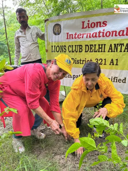 Volunteers from the Lions Club brought incredible energy to our Noida Sector 47 site, planting trees even in the rain and enjoying the fruits of a nearby guava tree. This shows the joy and dedication of our community partners.