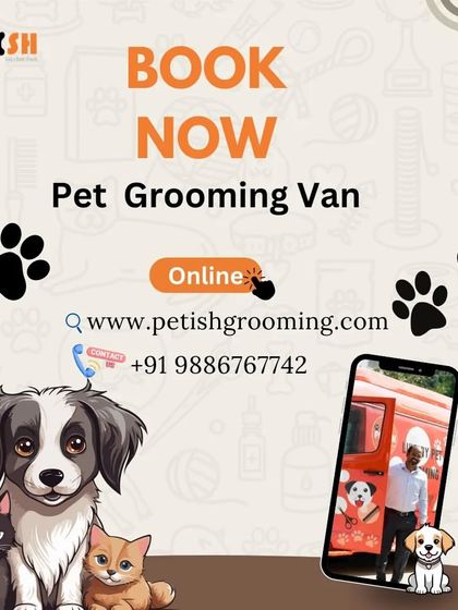 Petish Grooming - Mobile Grooming for Dogs & Cats Special Offers & Festive Deals photo 23