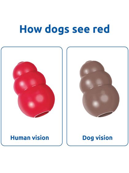 To us, this toy is bright red. But to a dog, it appears as a muted, brownish-grey color. This is because dogs lack red-green cone receptors in their eyes.