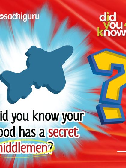 Your food has a secret middleman: the honey bee. From apples to coffee, these tiny workers make our food happen. Their declining population is a threat to our entire food chain.