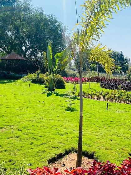 Large-Scale Projects: Parks & Farmhouses photo 9