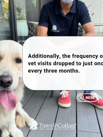 PawsnCollars - Veterinary Care Nutrition for a Vibrant Life photo 6