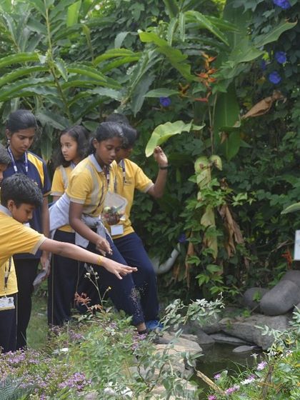 Make My Garden - Event Hosting & Workshops For Our Little Sprouts: Kids' Workshops & School Trips photo 6