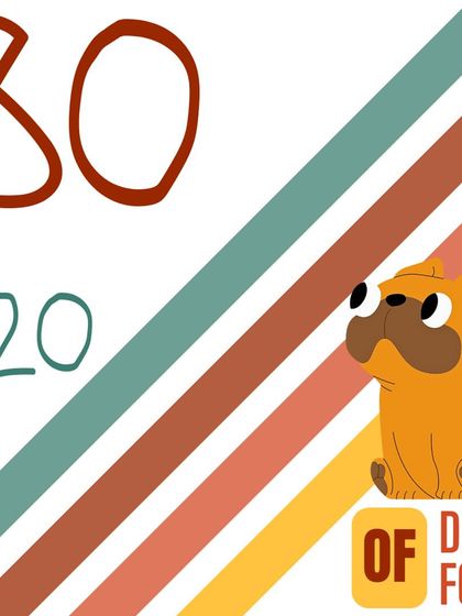 Hungry Eyes - Freshly Cooked Dog Meals Empowering Pet Parents photo 16