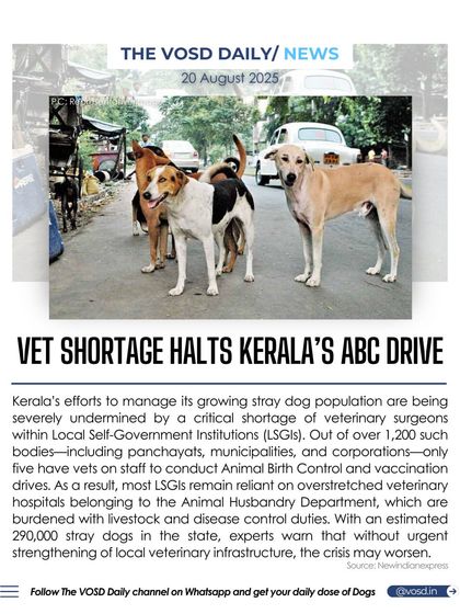Kerala's efforts to manage its stray dog population are being severely hampered by a critical shortage of veterinary surgeons. With an estimated 290,000 strays, the lack of experts threatens to worsen the crisis.