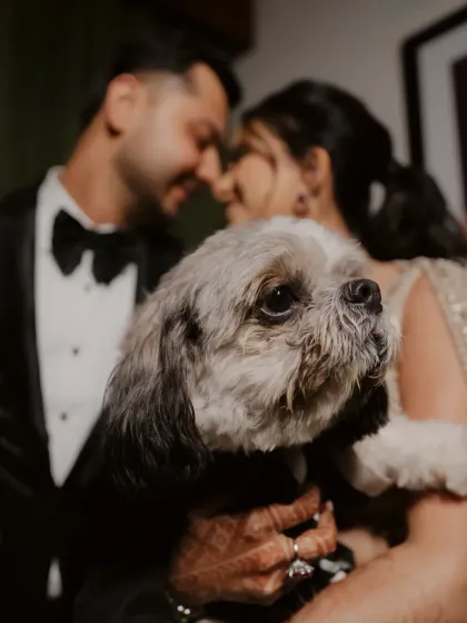 A heartwarming and unique Sangeet portrait, where the couple includes their beloved dog, dressed in a tiny tuxedo. It shows that family comes in all forms.