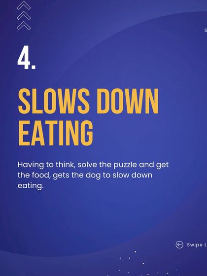 Deepthi - Dog Training & Behavior Modification Enrichment: Puzzles, Play & Confidence Building photo 7