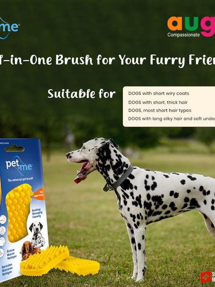 Augie Pets - Pet Supplies Spa Day at Home: Gentle Grooming Essentials photo 52