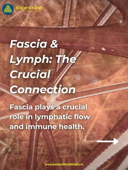 Body & Mind PhysioPilates Studio - Physical Therapy & Rehabilitation Understanding Your Body: Educational Insights photo 11