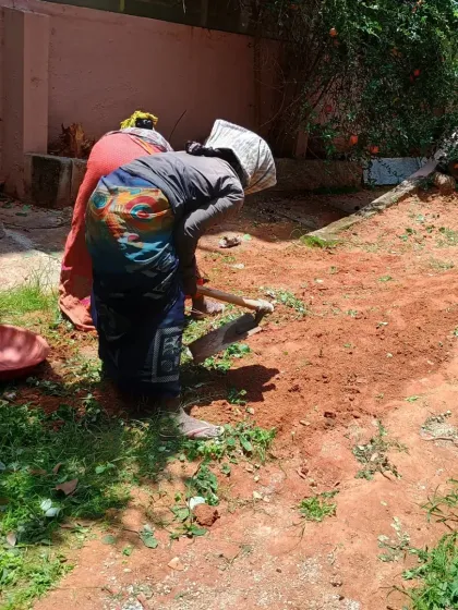 My team at work, preparing the ground by clearing weeds and leveling the soil. This foundational step is crucial for a healthy and long-lasting garden installation.