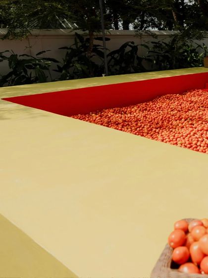 An abstract view of the custom-built tomato pit, showing the bold geometric lines and the vibrant color blocking of red and yellow.
